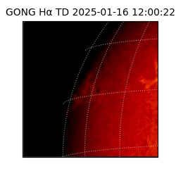 gong - 2025-01-16T12:00:22