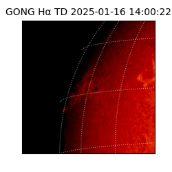 gong - 2025-01-16T14:00:22