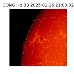 gong - 2025-01-16T21:00:02