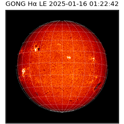 gong - 2025-01-16T01:22:42