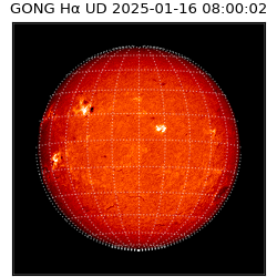 gong - 2025-01-16T08:00:02