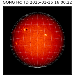 gong - 2025-01-16T16:00:22