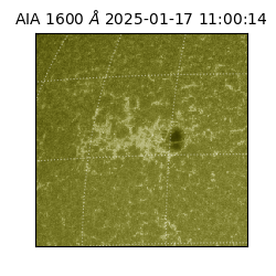 saia - 2025-01-17T11:00:14.126000