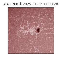 saia - 2025-01-17T11:00:28.726000