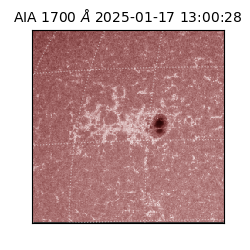 saia - 2025-01-17T13:00:28.717000