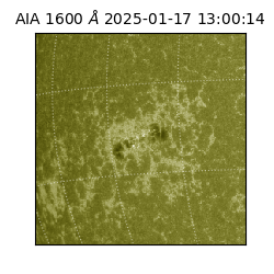 saia - 2025-01-17T13:00:14.125000