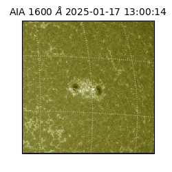 saia - 2025-01-17T13:00:14.125000