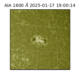 saia - 2025-01-17T19:00:14.117000