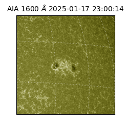 saia - 2025-01-17T23:00:14.126000