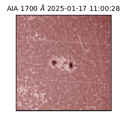saia - 2025-01-17T11:00:28.726000
