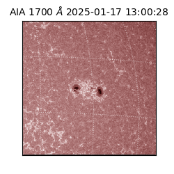 saia - 2025-01-17T13:00:28.717000