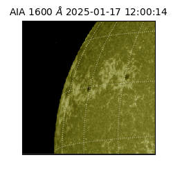 saia - 2025-01-17T12:00:14.129000
