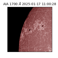 saia - 2025-01-17T11:00:28.726000