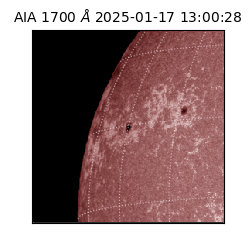 saia - 2025-01-17T13:00:28.717000
