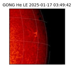gong - 2025-01-17T03:49:42
