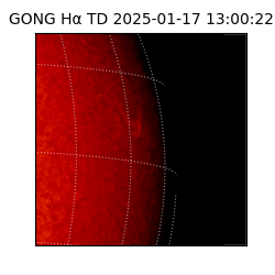 gong - 2025-01-17T13:00:22
