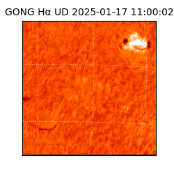 gong - 2025-01-17T11:00:02