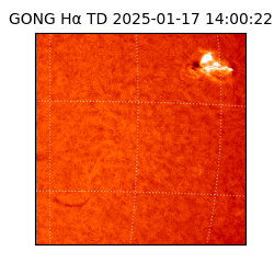 gong - 2025-01-17T14:00:22