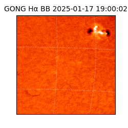 gong - 2025-01-17T19:00:02