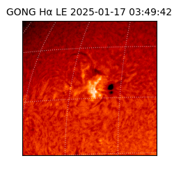 gong - 2025-01-17T03:49:42