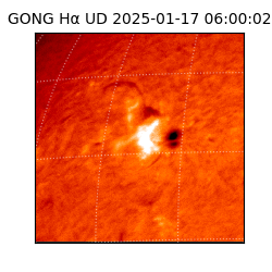 gong - 2025-01-17T06:00:02