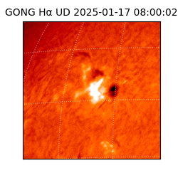 gong - 2025-01-17T08:00:02