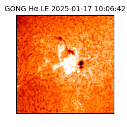 gong - 2025-01-17T10:06:42