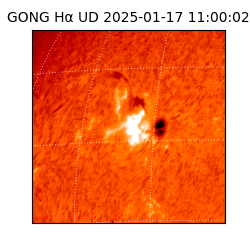 gong - 2025-01-17T11:00:02