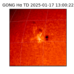 gong - 2025-01-17T13:00:22