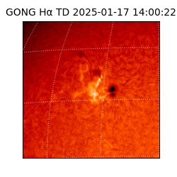 gong - 2025-01-17T14:00:22