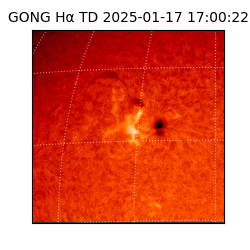 gong - 2025-01-17T17:00:22