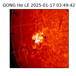gong - 2025-01-17T03:49:42