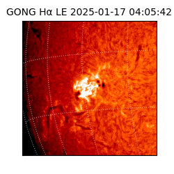 gong - 2025-01-17T04:05:42