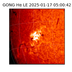 gong - 2025-01-17T05:00:42