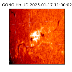 gong - 2025-01-17T11:00:02