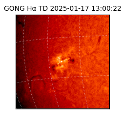 gong - 2025-01-17T13:00:22