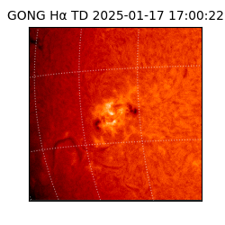 gong - 2025-01-17T17:00:22