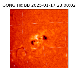 gong - 2025-01-17T23:00:02
