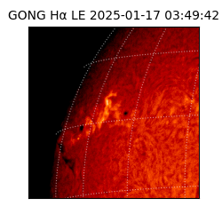 gong - 2025-01-17T03:49:42