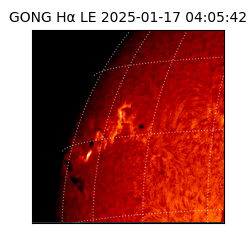 gong - 2025-01-17T04:05:42