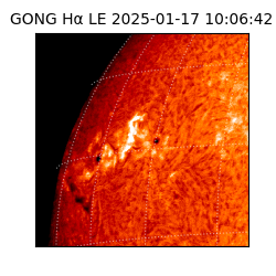 gong - 2025-01-17T10:06:42