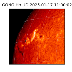 gong - 2025-01-17T11:00:02