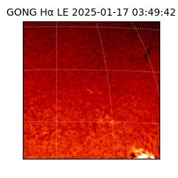 gong - 2025-01-17T03:49:42