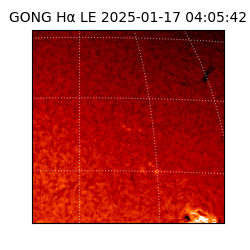 gong - 2025-01-17T04:05:42