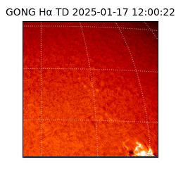 gong - 2025-01-17T12:00:22
