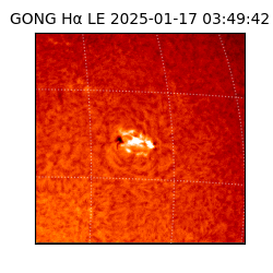 gong - 2025-01-17T03:49:42