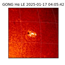 gong - 2025-01-17T04:05:42