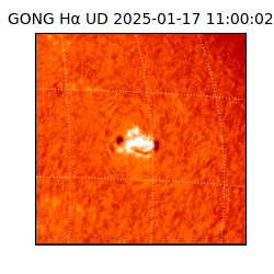 gong - 2025-01-17T11:00:02