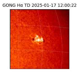 gong - 2025-01-17T12:00:22