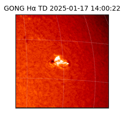 gong - 2025-01-17T14:00:22